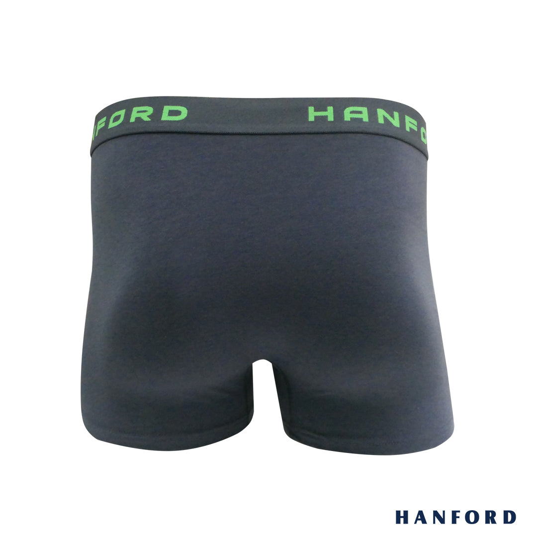 Hanford iCE Men Viscose w/ Spandex Boxer Briefs w/ Pouch Contrast Stit –  HANFORD