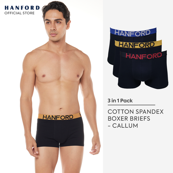 Hanford Men Cotton w/ Spandex Boxer Briefs Callum - Black (3in1 Pack)
