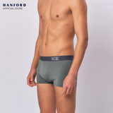 Hanford iCE Men Viscose w/ Spandex Boxer Briefs Dusty03 - Sedona Sage (Single Pack)