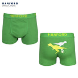 Hanford Kids/Teens Cotton Hipster Boxer Briefs Saurus - Dinosaurs Stripe Print (3in1 Pack)