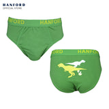 Hanford Kids/Teens Cotton Hipster Briefs Saurus - Dinosaurs Stripe Print (3in1 Pack)