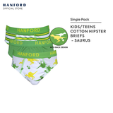 Hanford Kids/Teens Cotton Hipster Briefs Saurus - Dinosaurs Stripe Print (3in1 Pack)